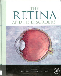 (buku retina) the retina and its disorders