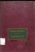 embryology of the human eye