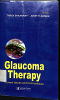 glaucoma therapy , current issues and controversies